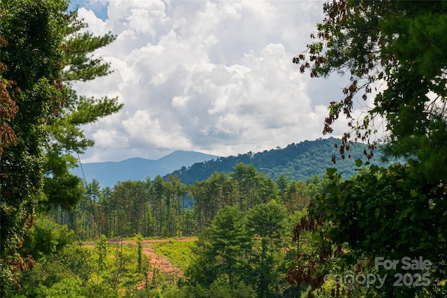 25 Elkins Branch Rd Unit 1, Weaverville, NC 28787