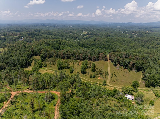 25 Elkins Branch Rd Unit 1, Weaverville, NC 28787