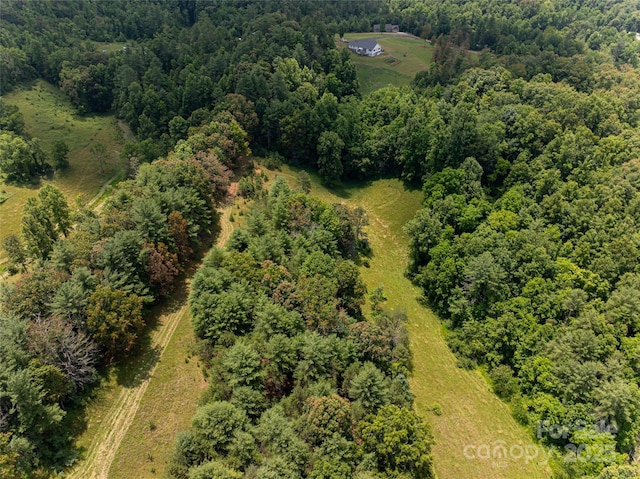 25 Elkins Branch Rd Unit 1, Weaverville, NC 28787