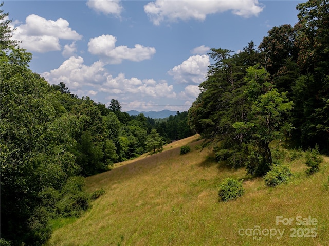 25 Elkins Branch Rd Unit 1, Weaverville, NC 28787