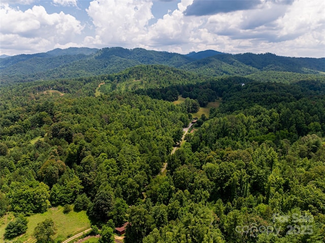 25 Elkins Branch Rd Unit 1, Weaverville, NC 28787