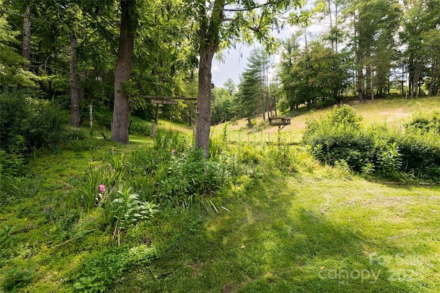 25 Elkins Branch Rd Unit 1, Weaverville, NC 28787