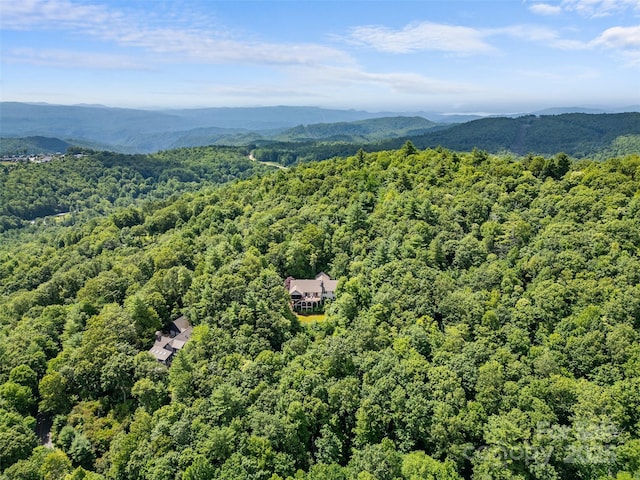 60 Lakeside Trl, Lake Toxaway, NC 28747 - photo 40