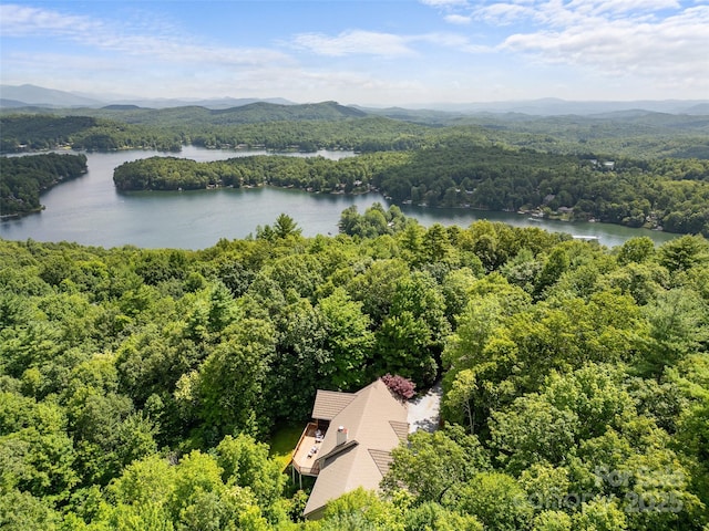 60 Lakeside Trl, Lake Toxaway, NC 28747 - photo 41