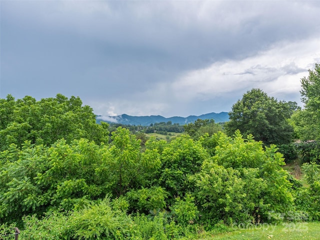 644 N Canton Rd, Canton, NC 28716 - photo 11