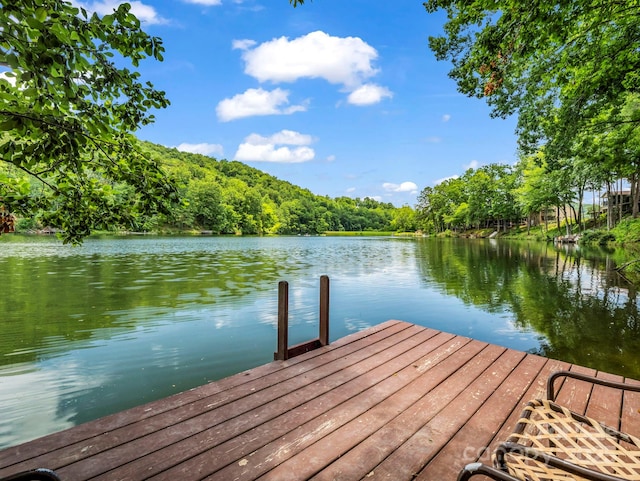 140 W Lake Dr Unit 301, Lake Lure, NC 28746 - dock area featuring a water view and a view of trees