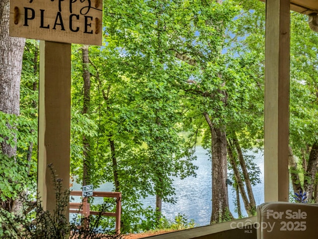 140 W Lake Dr Unit 301, Lake Lure, NC 28746 - water view