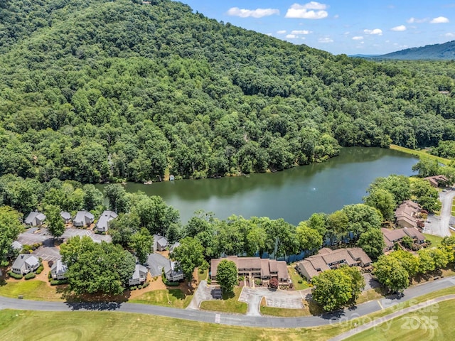 140 W Lake Dr Unit 301, Lake Lure, NC 28746 - drone / aerial view of a heavily wooded area and a nearby body of water