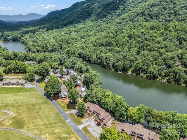 140 W Lake Dr Unit 301, Lake Lure, NC 28746 - drone / aerial view of a forest and a water and mountain view