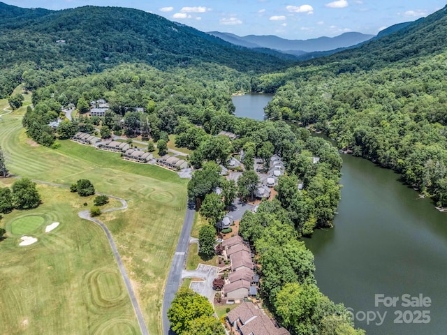 140 W Lake Dr Unit 301, Lake Lure, NC 28746 - bird's eye view of a water and mountain view and a golf course