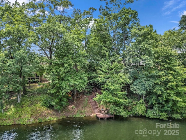 140 W Lake Dr Unit 301, Lake Lure, NC 28746 - water view with stairs