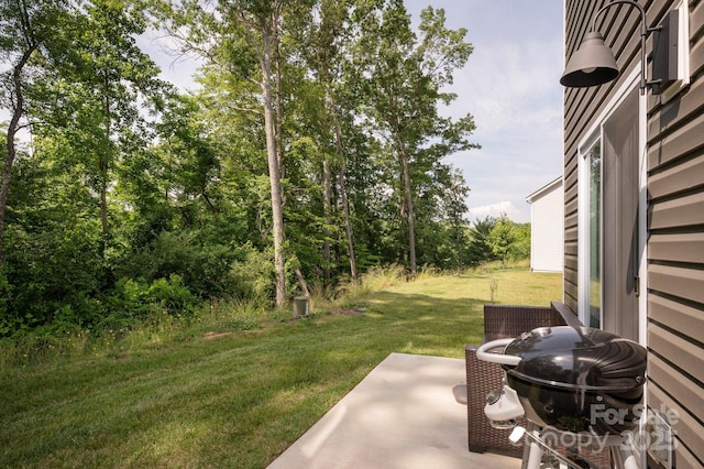 40 Malcolm Ct, Candler, NC 28715 - photo 20