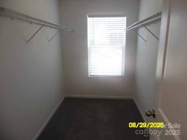 570 30th Avenue Cir NE, Hickory, NC 28601 - walk in closet with carpet