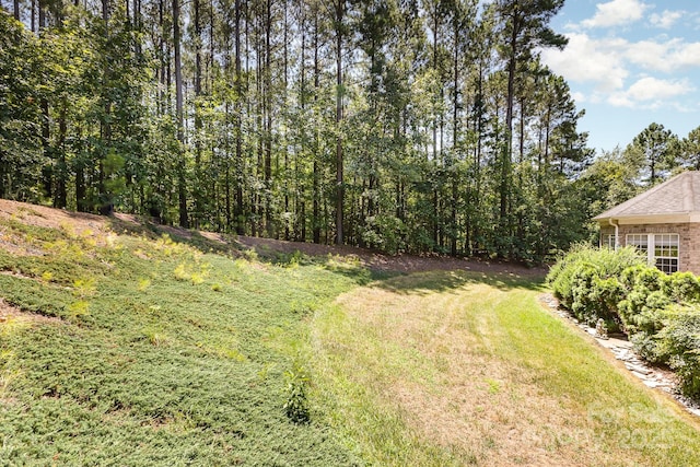 108 Laurel Glen Ct, Mount Holly, NC 28120 - photo 33