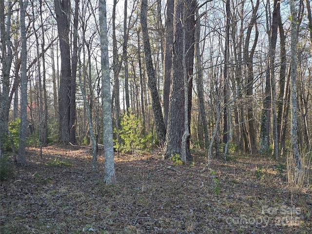 14 Woods Rd, Fairview, NC 28730