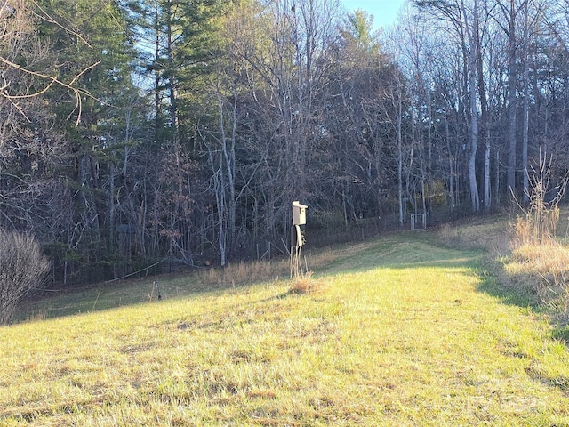 14 Woods Rd, Fairview, NC 28730