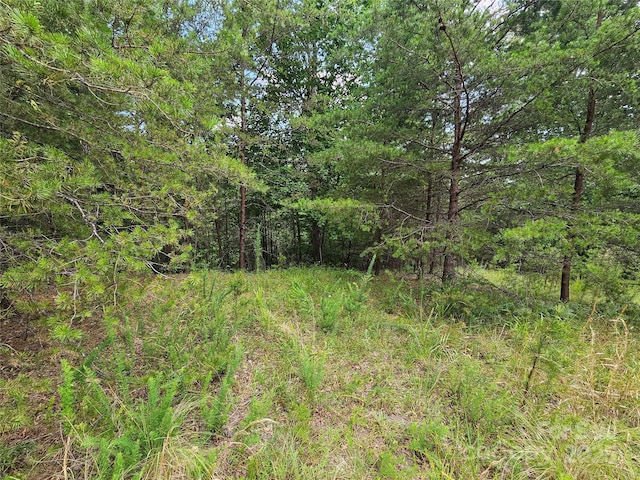 0 N Coast Dr Unit 17-6, Mill Spring, NC 28756