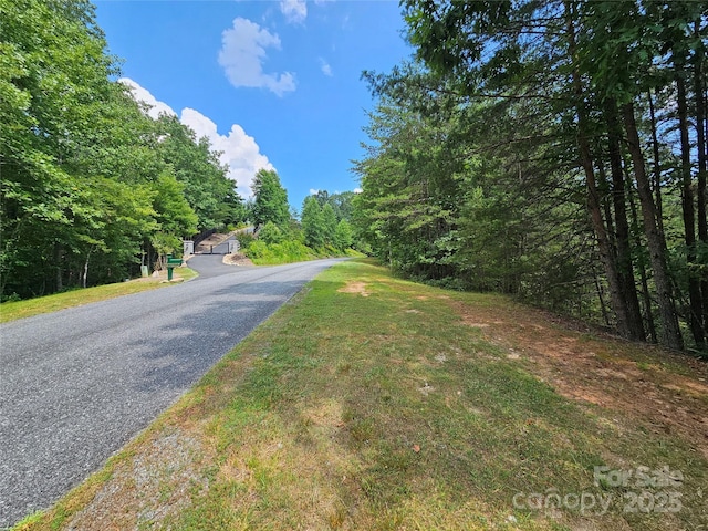 0 N Coast Dr Unit 17-6, Mill Spring, NC 28756