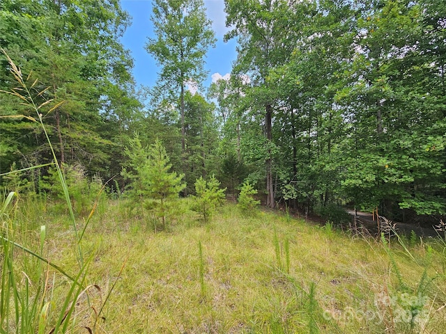0 N Coast Dr Unit 17-6, Mill Spring, NC 28756