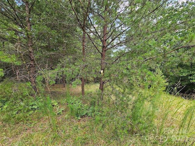 0 N Coast Dr Unit 17-6, Mill Spring, NC 28756