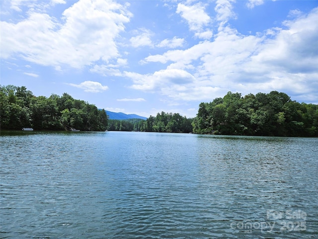 0 N Coast Dr Unit 17-6, Mill Spring, NC 28756