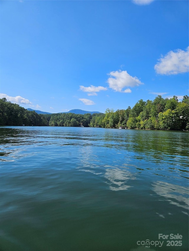 0 N Coast Dr Unit 17-6, Mill Spring, NC 28756