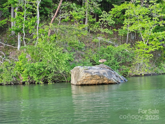 0 N Coast Dr Unit 17-6, Mill Spring, NC 28756