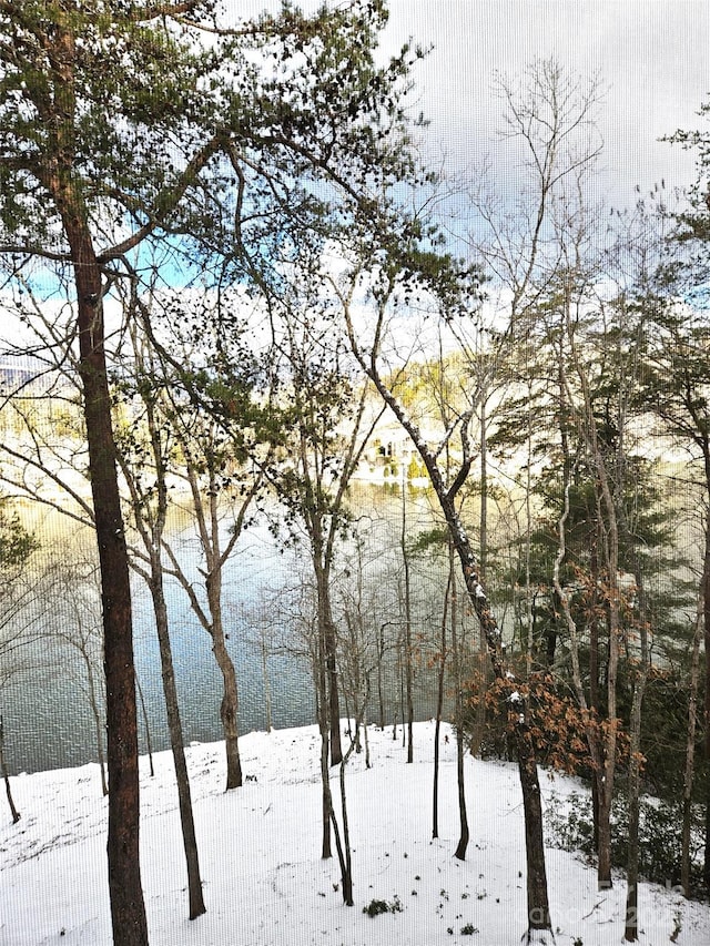 0 N Coast Dr Unit 17-6, Mill Spring, NC 28756