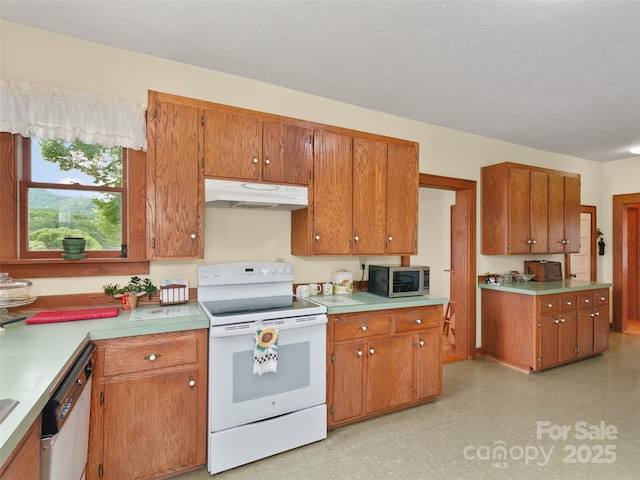 3910 Pisgah Dr, Canton, NC 28716 - photo 14
