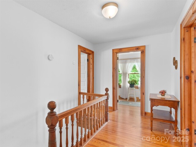 3910 Pisgah Dr, Canton, NC 28716 - photo 21