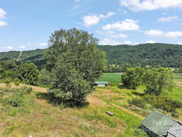 3910 Pisgah Dr, Canton, NC 28716 - photo 33