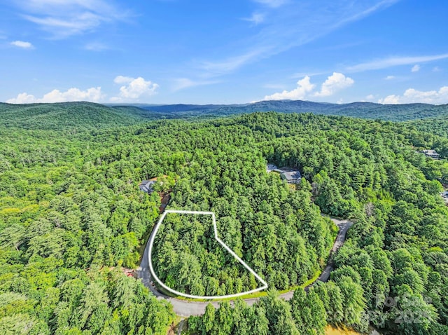 000 Awi Trl Unit 27, Hendersonville, NC 28739 - photo 1