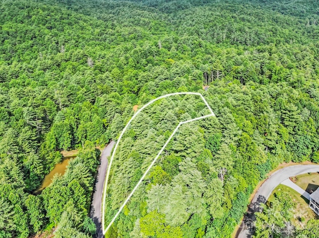 000 Awi Trl Unit 27, Hendersonville, NC 28739 - photo 2