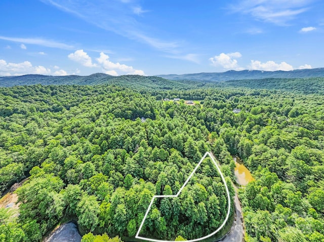 000 Awi Trl Unit 27, Hendersonville, NC 28739 - photo 3
