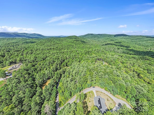 000 Awi Trl Unit 27, Hendersonville, NC 28739 - photo 4