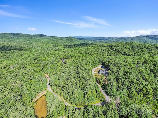 000 Awi Trl Unit 27, Hendersonville, NC 28739 - photo 6