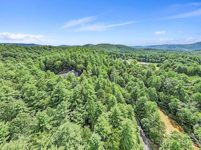 000 Awi Trl Unit 27, Hendersonville, NC 28739 - photo 7