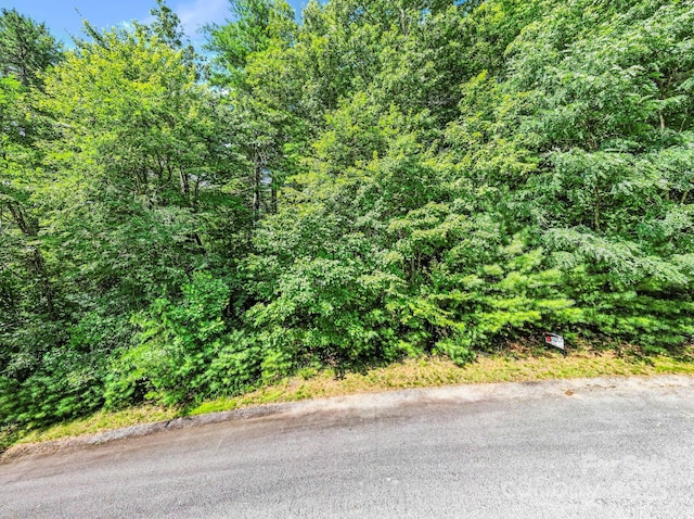 000 Awi Trl Unit 27, Hendersonville, NC 28739 - photo 8