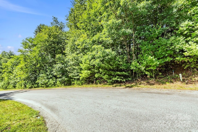 000 Awi Trl Unit 27, Hendersonville, NC 28739 - photo 9