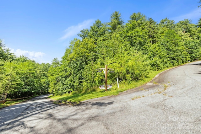 000 Awi Trl Unit 27, Hendersonville, NC 28739 - photo 10