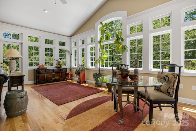 3 Amherst Rd, Asheville, NC 28803 - photo 11