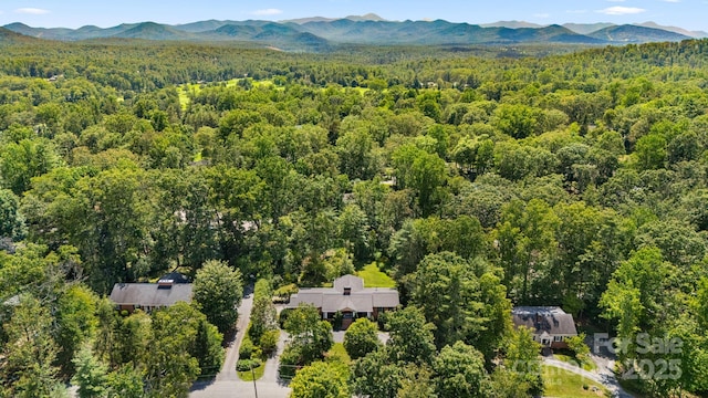 3 Amherst Rd, Asheville, NC 28803 - photo 43