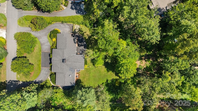 3 Amherst Rd, Asheville, NC 28803 - photo 46