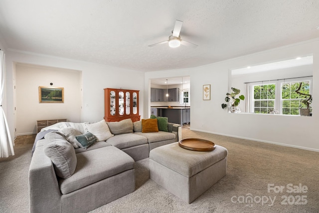 178 Spencer St, Clyde, NC 28721 - photo 3