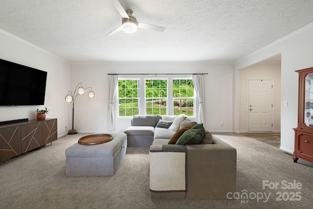 178 Spencer St, Clyde, NC 28721 - photo 4