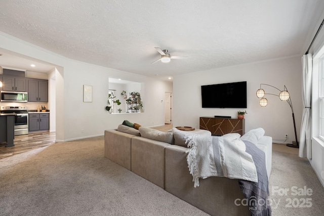 178 Spencer St, Clyde, NC 28721 - photo 5