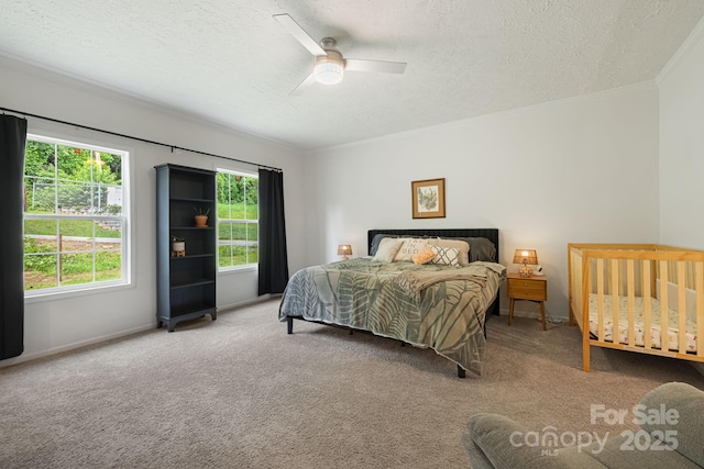 178 Spencer St, Clyde, NC 28721 - photo 11