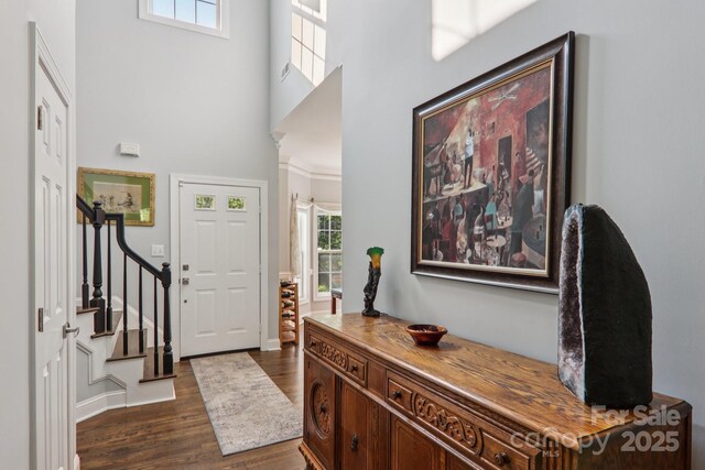 337 Stratford Rd, Asheville, NC 28804 - photo 3