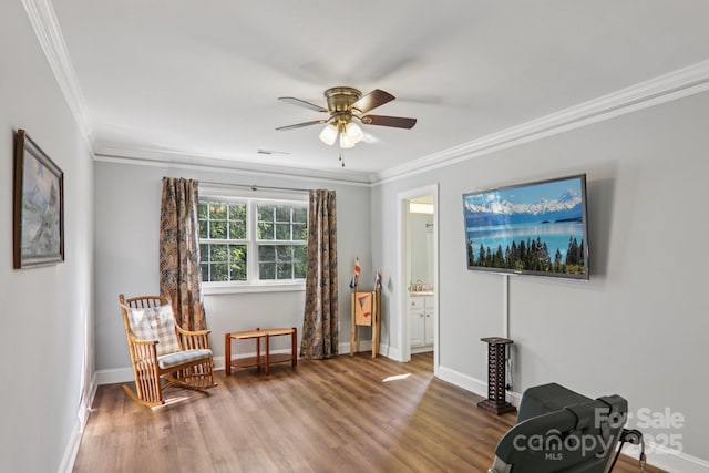 337 Stratford Rd, Asheville, NC 28804 - photo 13