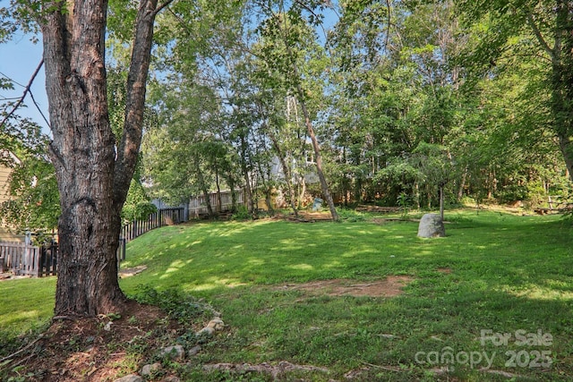 337 Stratford Rd, Asheville, NC 28804 - photo 22